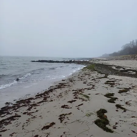 Erholungstraum In Ostseenähe *